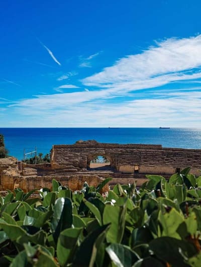 l'anfiteatro da sopra la siepe del parco, con il mare aperto e le navi alla fonda