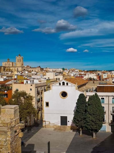 i tetti del centro storico dall'alto, con le torri della cattedrale sul fondo
