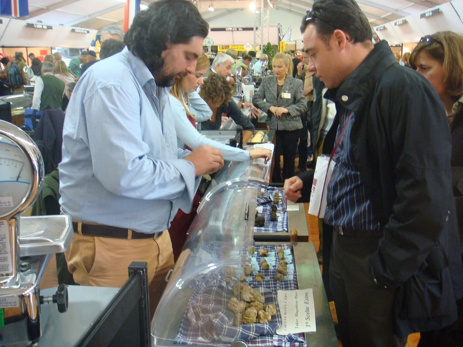 a stall at the World White Truffle Market, with the truffles under a glass bell