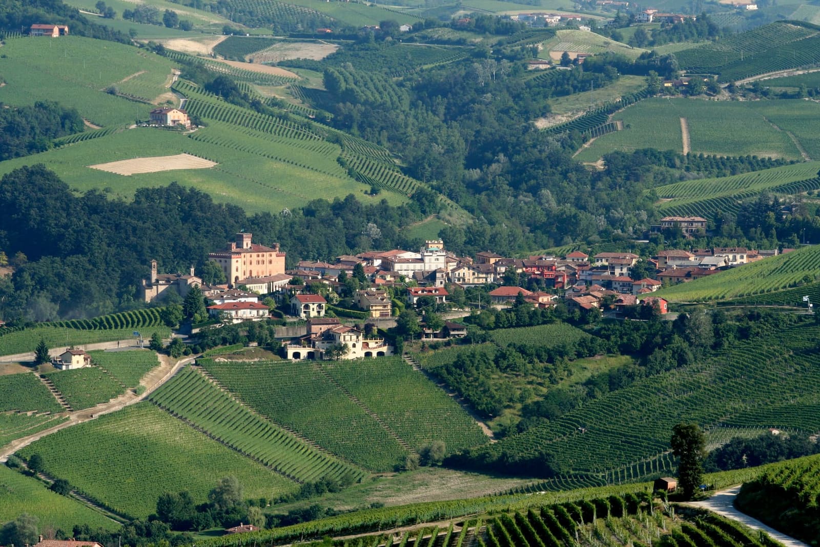 Barolo in mezzo alle vigne visto dalle colline di La Morra, con il castello Falletti sulla sinistra