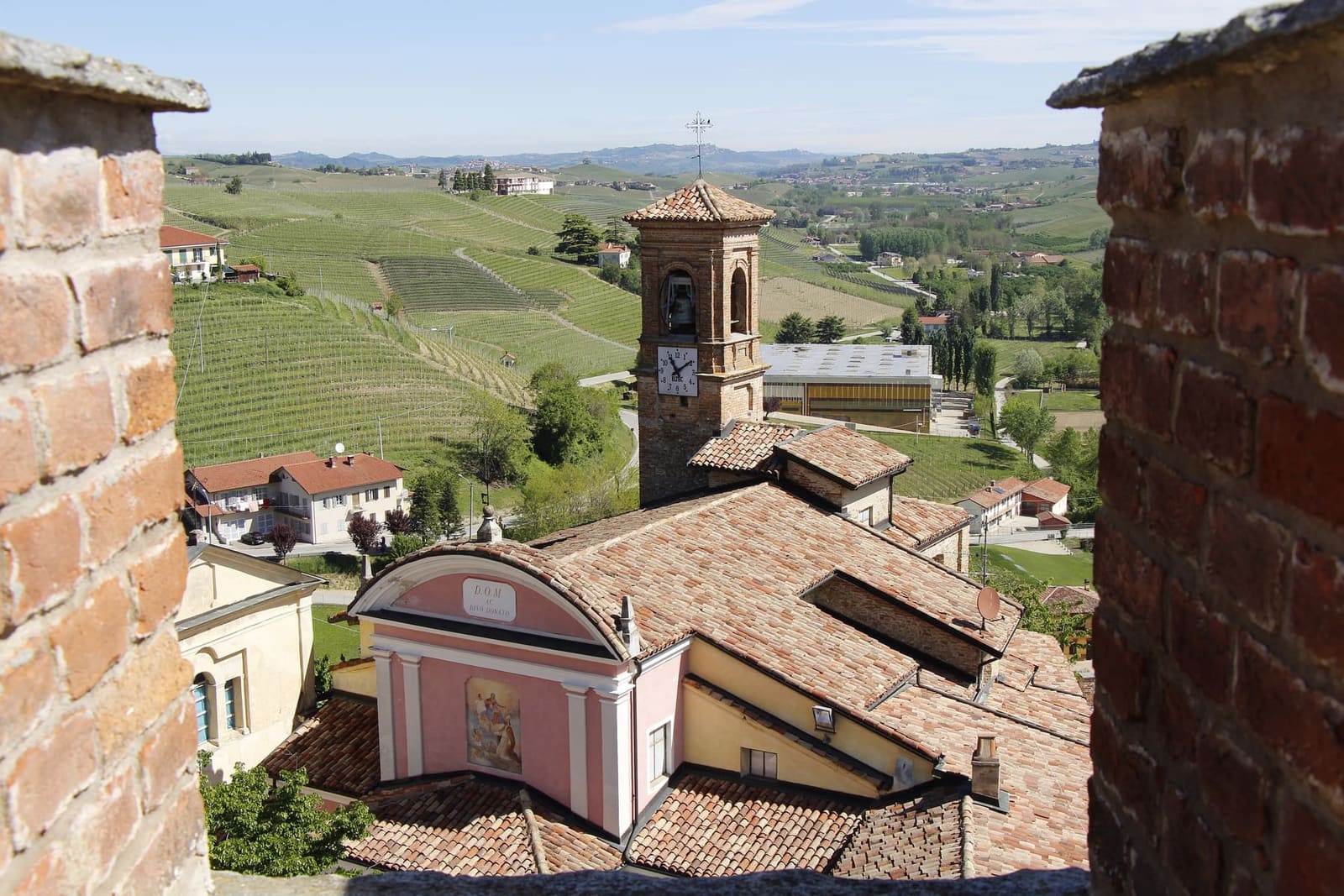 San Donato vista dall'alto fra due merli, con il campanile e le vigne dietro