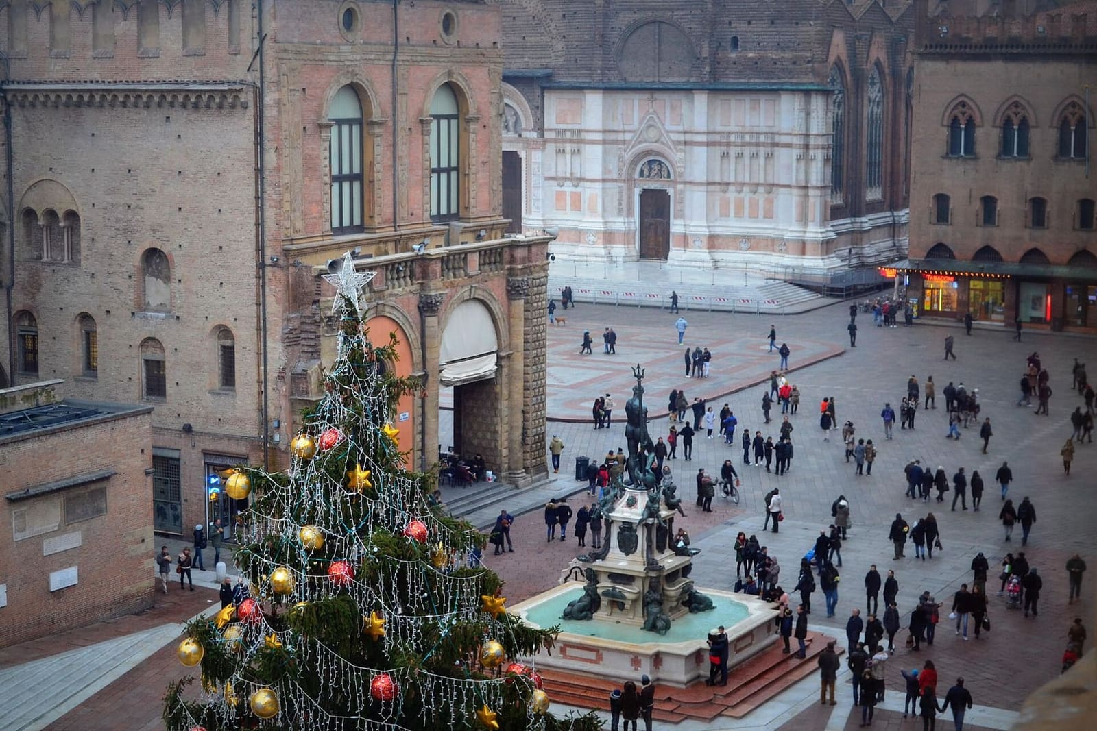 l'albero di Natale accanto alla fontana del Nettuno, con la facciata di San Petronio in fondo