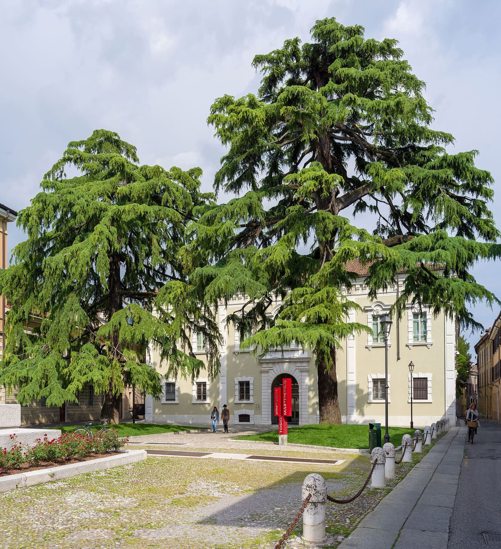 il palazzo Martinengo da Barco, sede della Pinacoteca, dietro i cedri di piazza Moretto