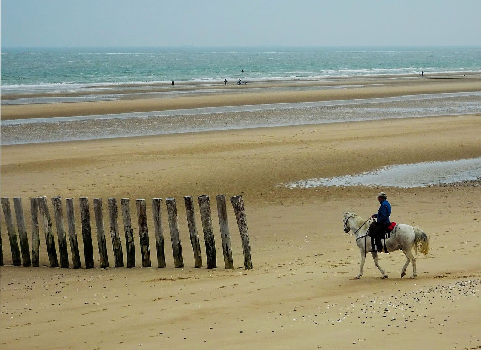 un cavaliere sulla spiaggia di Blériot-Plage, con la bassa marea e i pali di legno