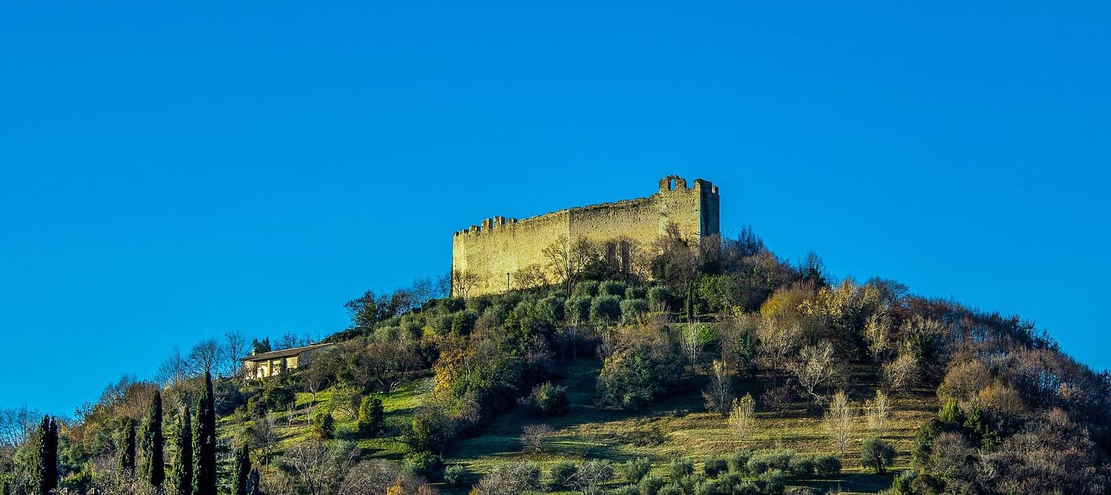 la Rocca di Asolo in cima al monte Ricco, sopra gli ulivi e i cipressi