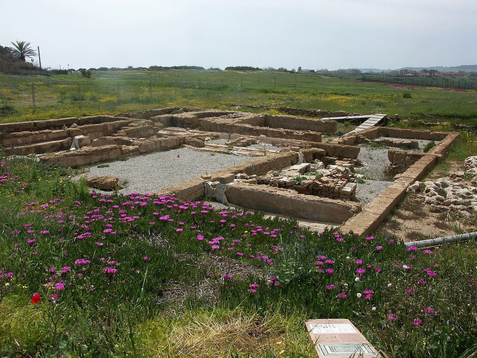 the remains of the buildings of the sanctuary among the flowers