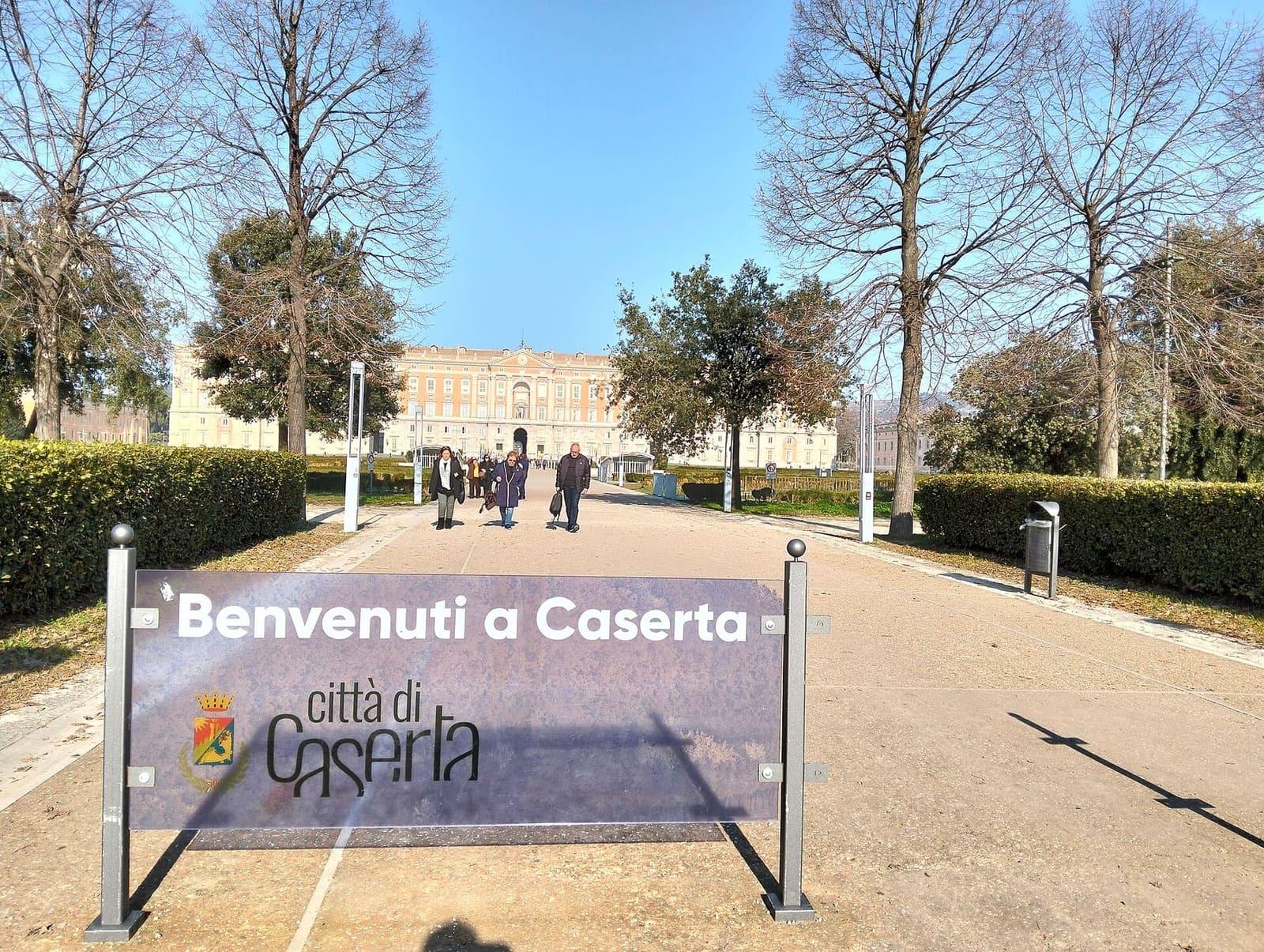 il viale di piazza Carlo di Borbone con gli alberi spogli e la Reggia in fondo