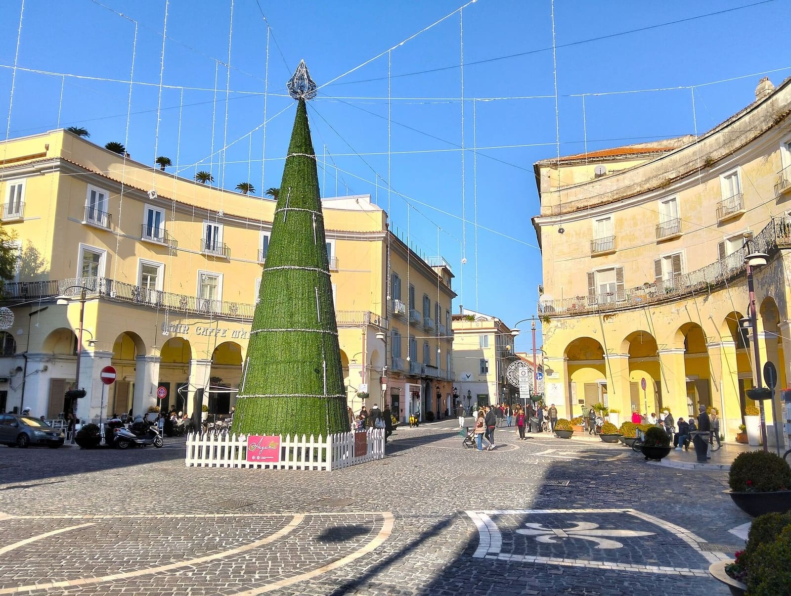 piazza Dante con l'albero di Natale fra i palazzi a portici