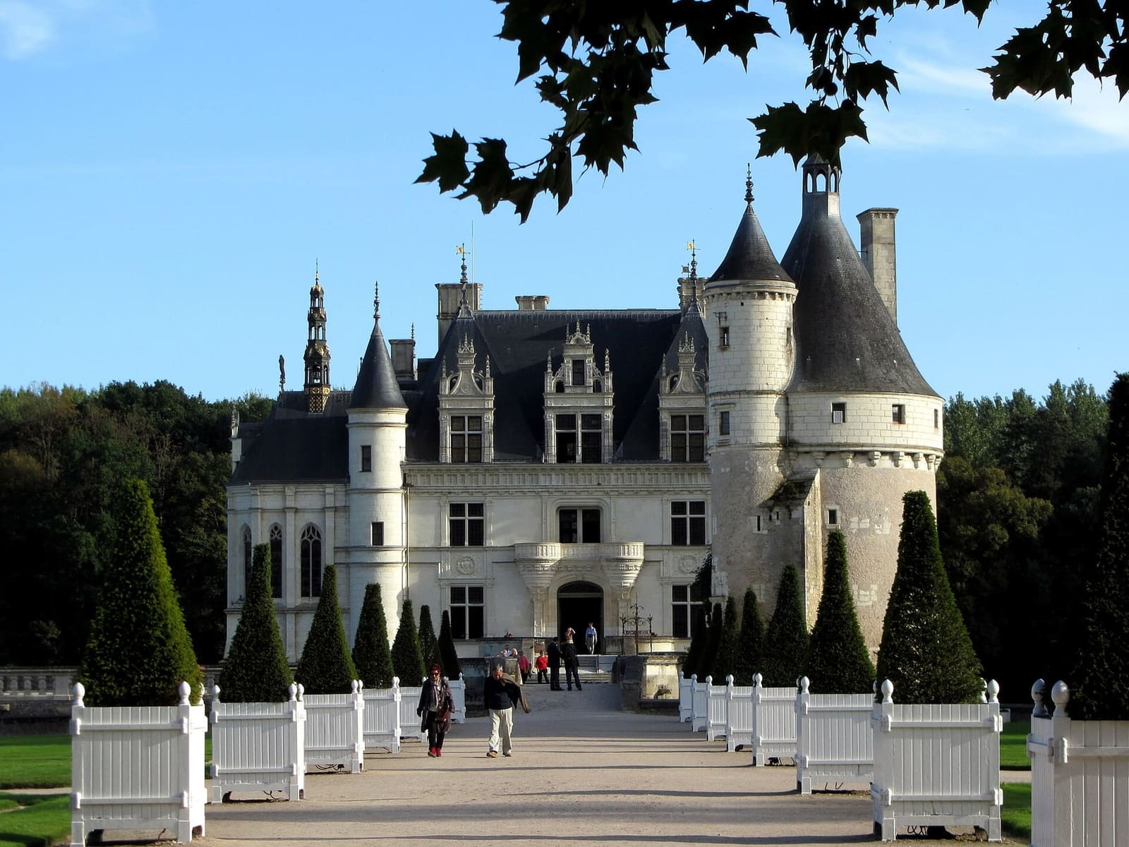 l'allée d'entrée entre les caisses blanches, avec le logis et la tour des Marques au fond