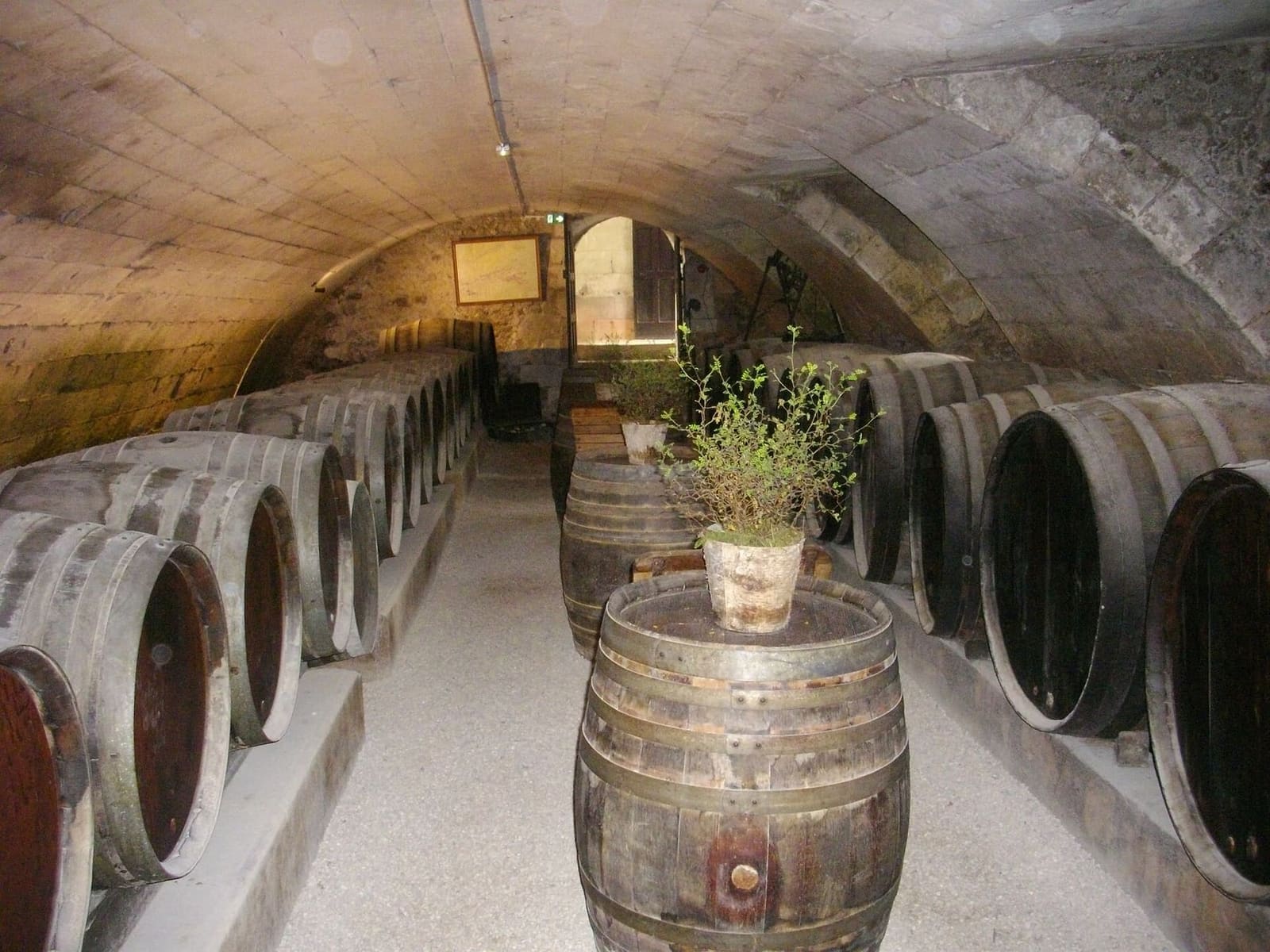 les fûts de la cave des Dômes, la cave du château
