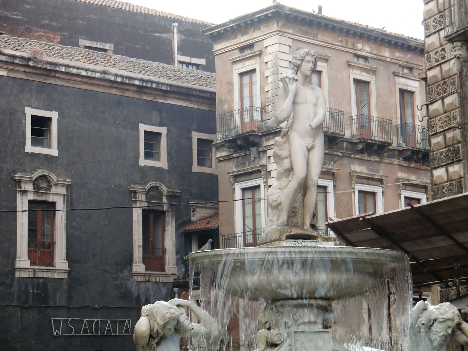 la fontana dell'Amenano, con la scritta W S. Agata sul muro di pietra lavica dietro