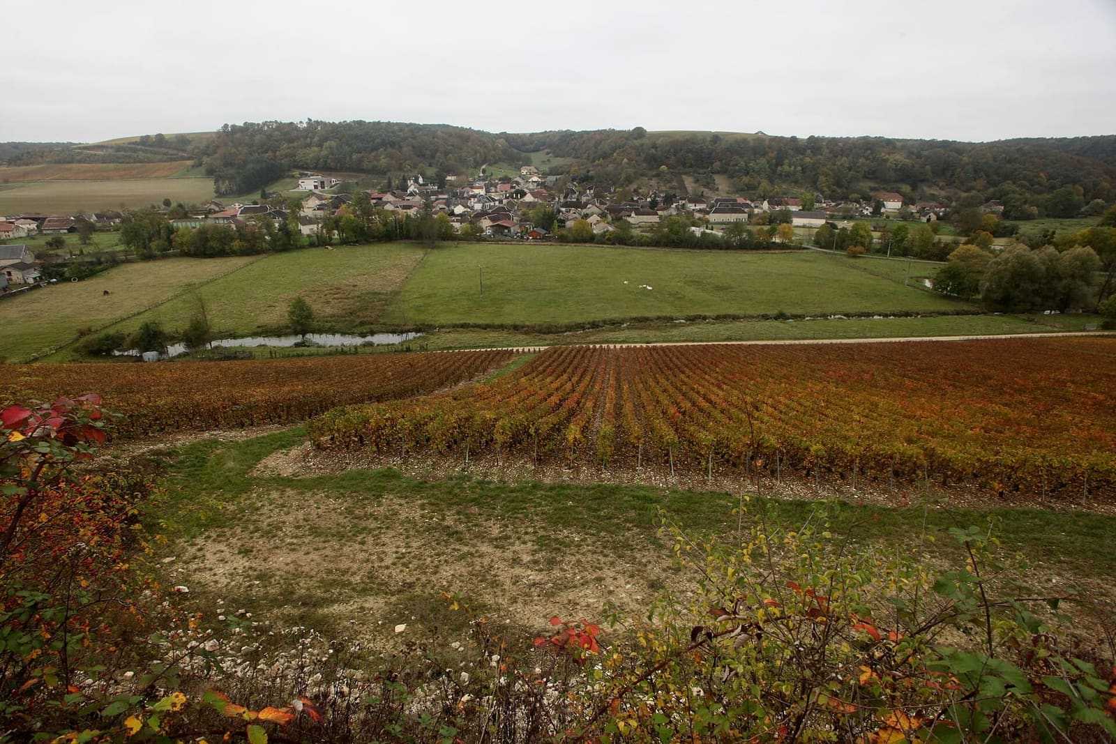 i filari rossi d'autunno sopra Spoy, sulla Côte des Bar verso Bar-sur-Aube, con il paese in fondo
