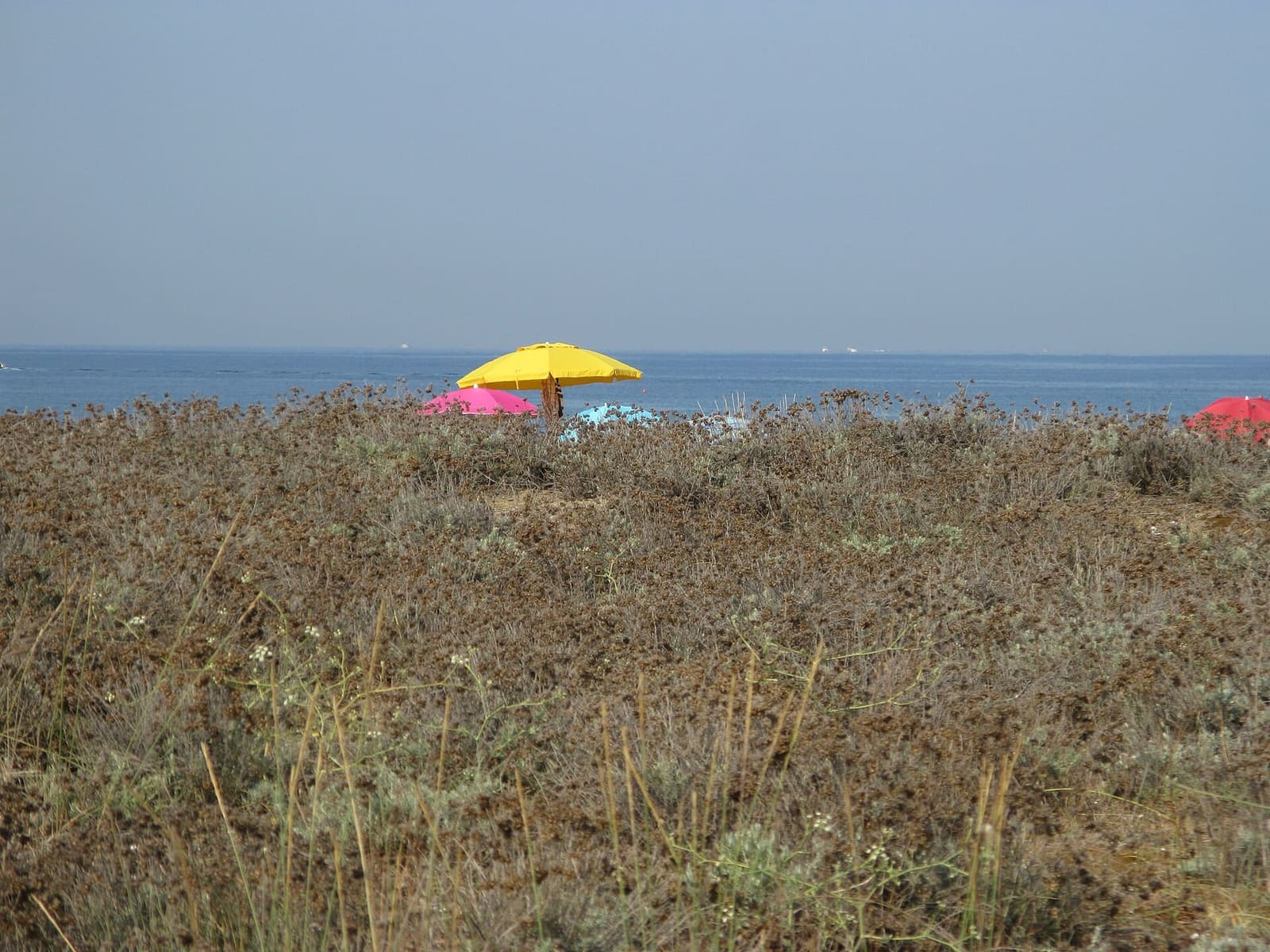 ein Streifen Meer und die Sonnenschirme hinter der Vegetation der Dünen