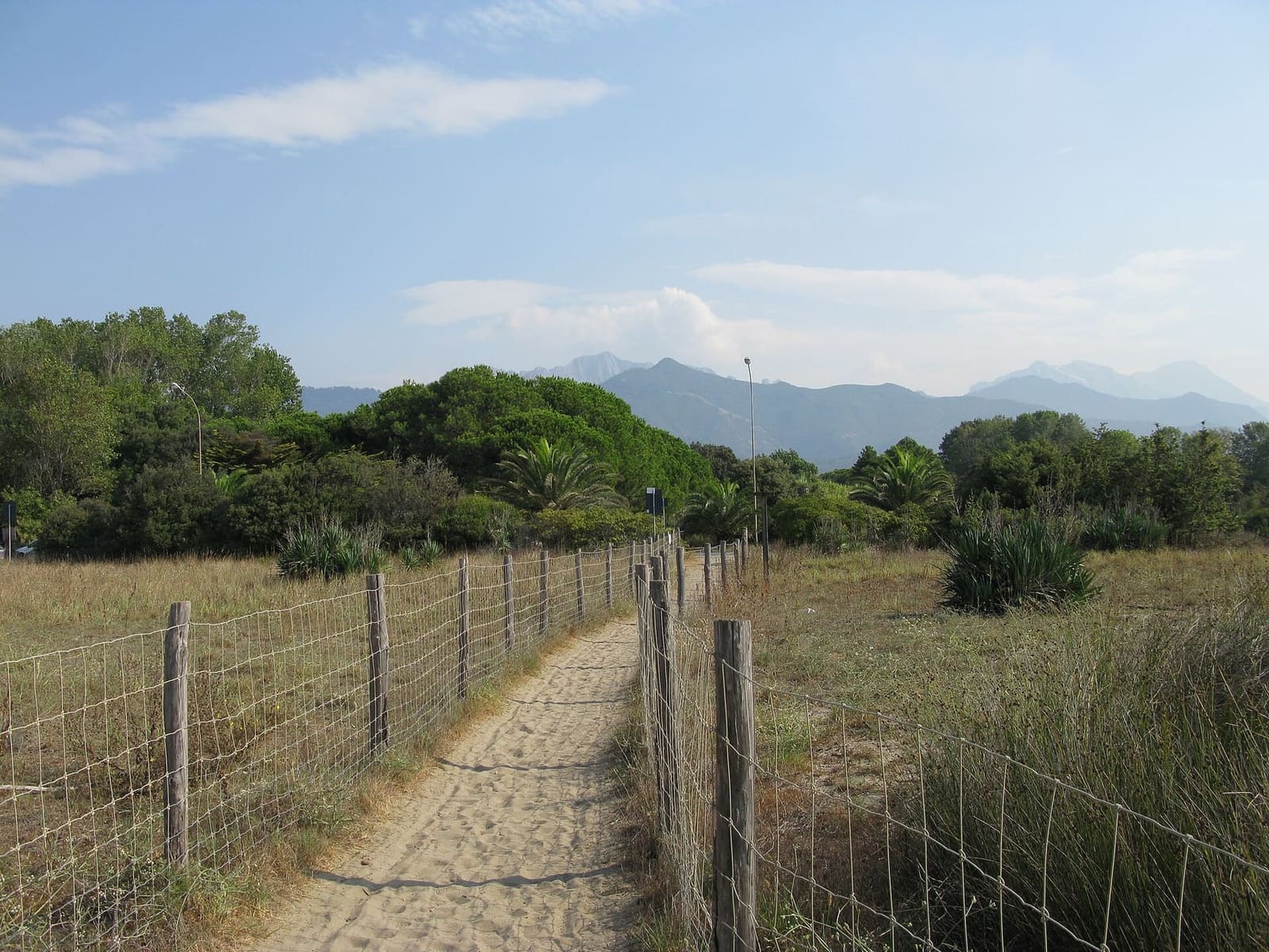 der eingezäunte Durchgang, der die Dünenoase von Forte dei Marmi durchquert