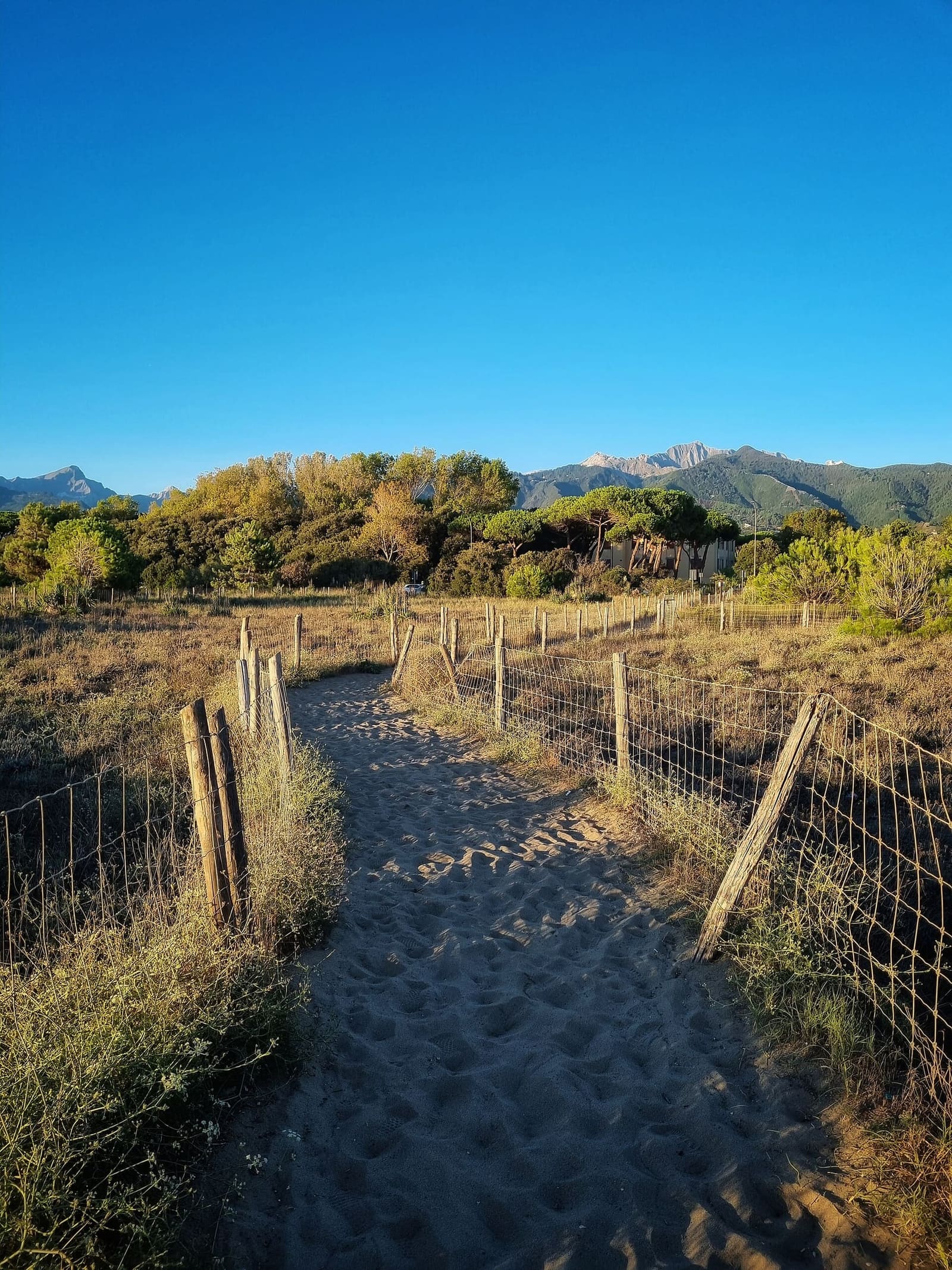 ein Weg zwischen den Dünen von Forte dei Marmi, mit den Apuanischen Alpen am Horizont