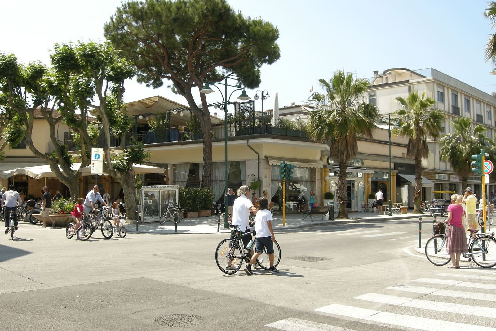 Fahrräder zwischen den Pinien und den Palmen von Forte dei Marmi