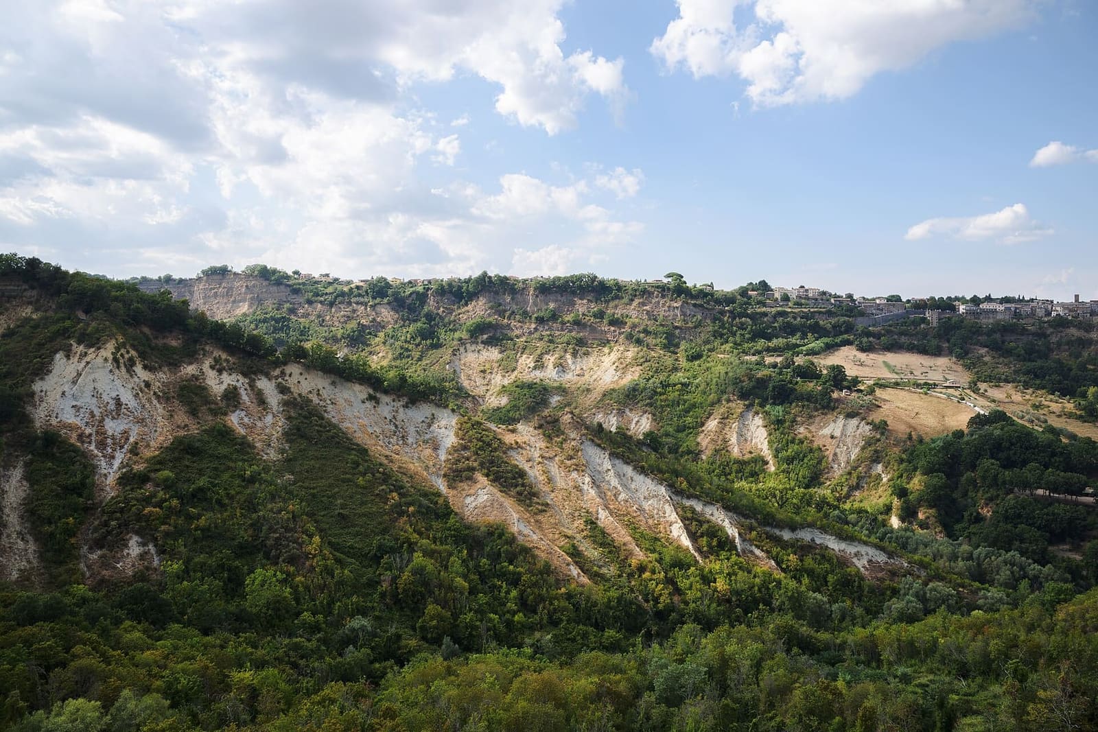 le creste di argilla dei calanchi intorno a Civita, scavate dall'acqua fra i boschi