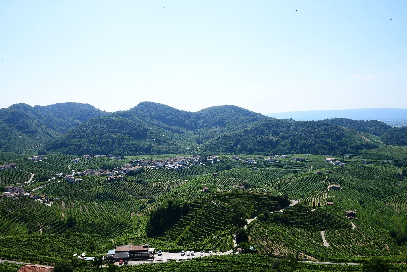 die Weinberge des Cartizze in Valdobbiadene, mit den Prosecco-Hügeln dahinter, an einem Morgen im Juni