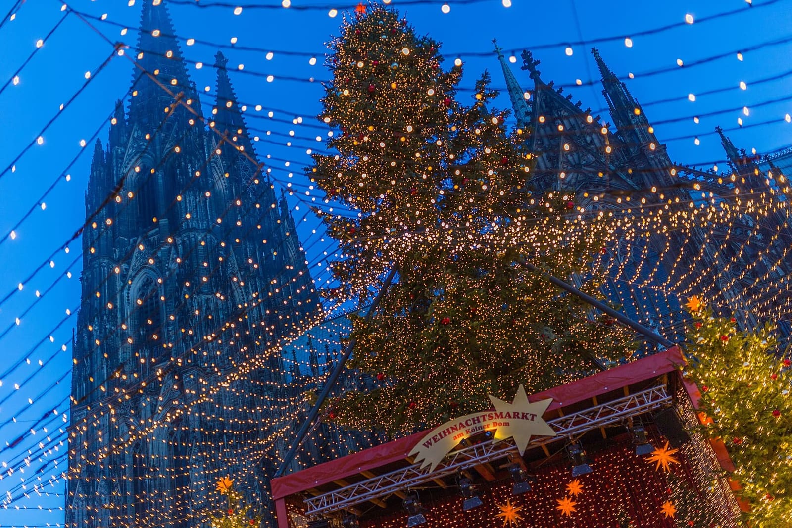 il mercatino di Natale sul Roncalliplatz all'ora blu, con il grande albero e il tetto di lucine davanti al Duomo