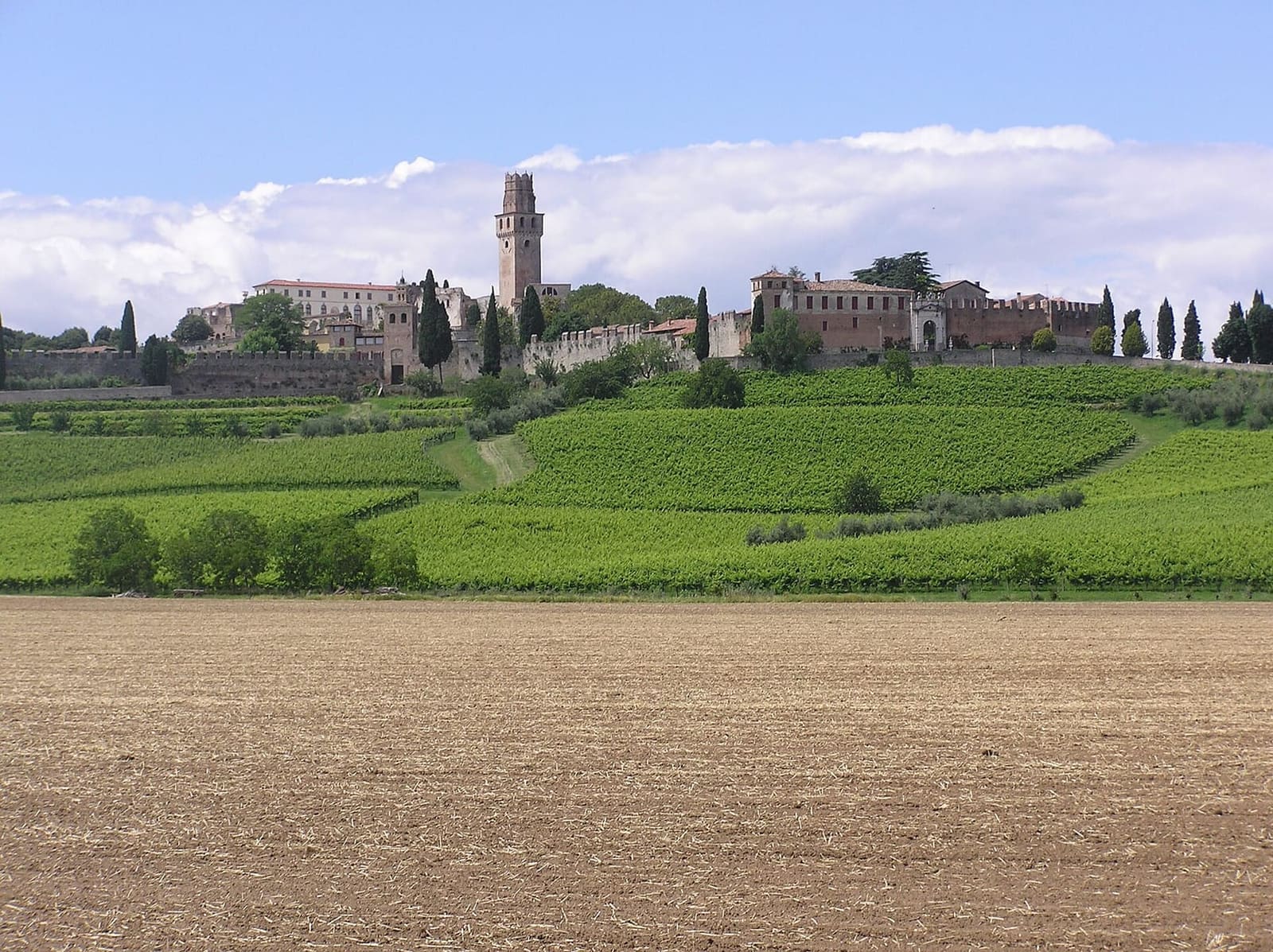 die Burg von San Salvatore auf dem Hügel von Susegana, von Süden aus gesehen
