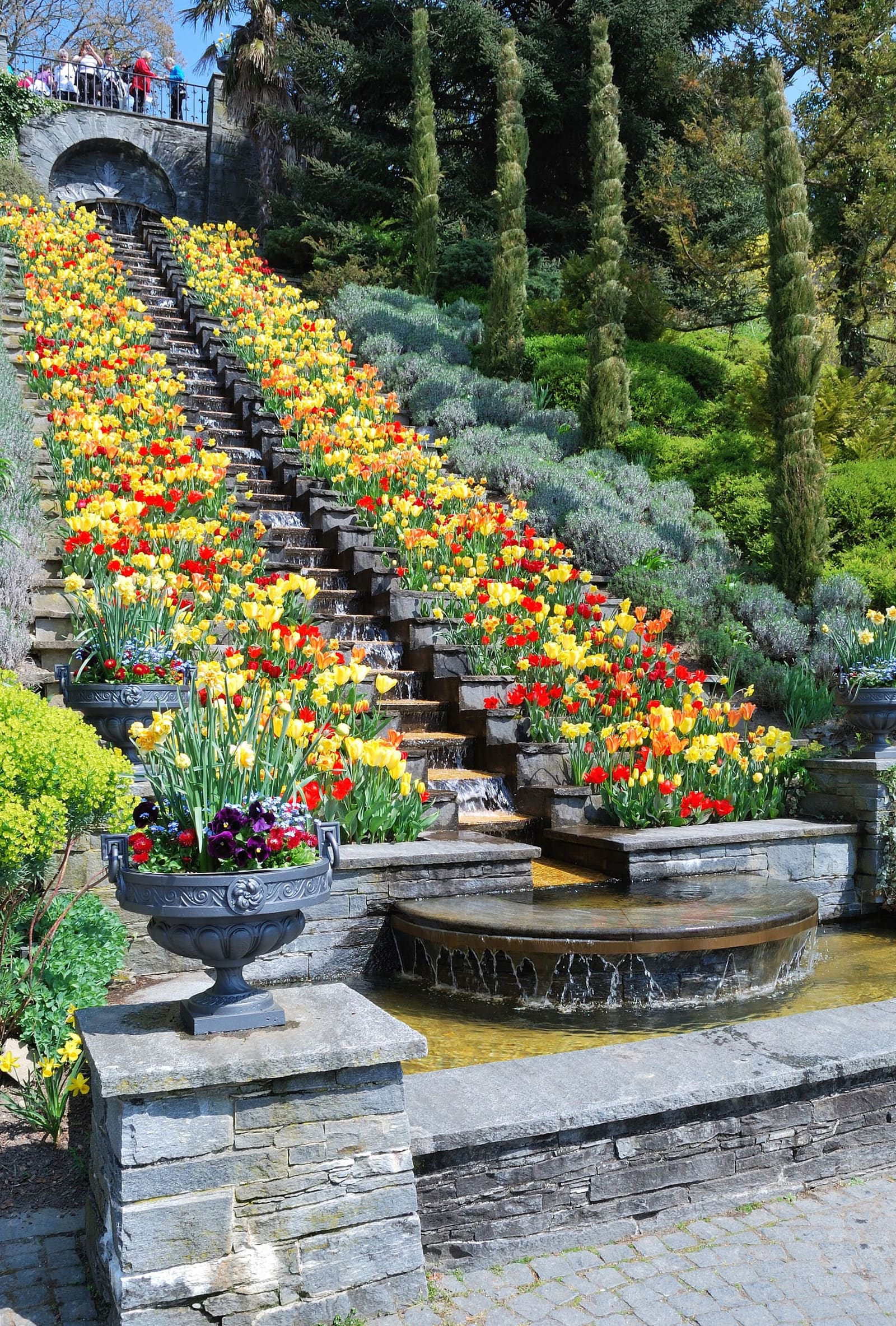 la scala d'acqua italiana di Mainau con i tulipani, in primavera
