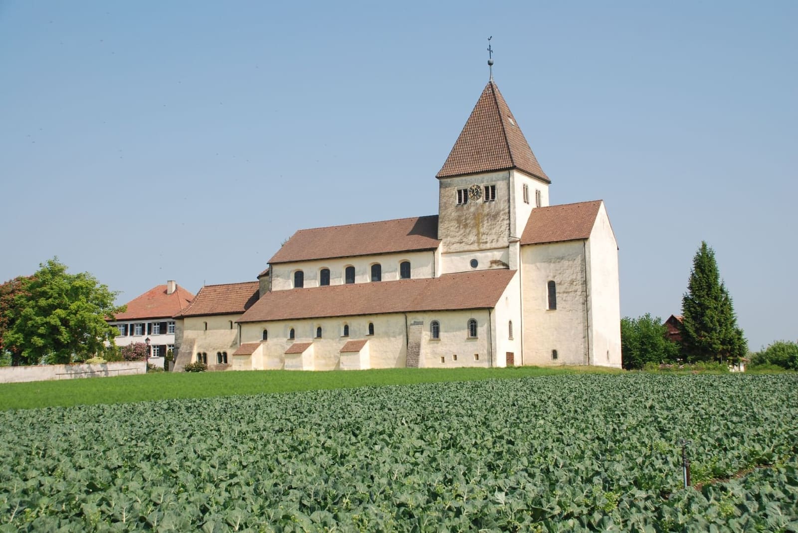 San Giorgio di Oberzell in mezzo ai campi di verdura della Reichenau