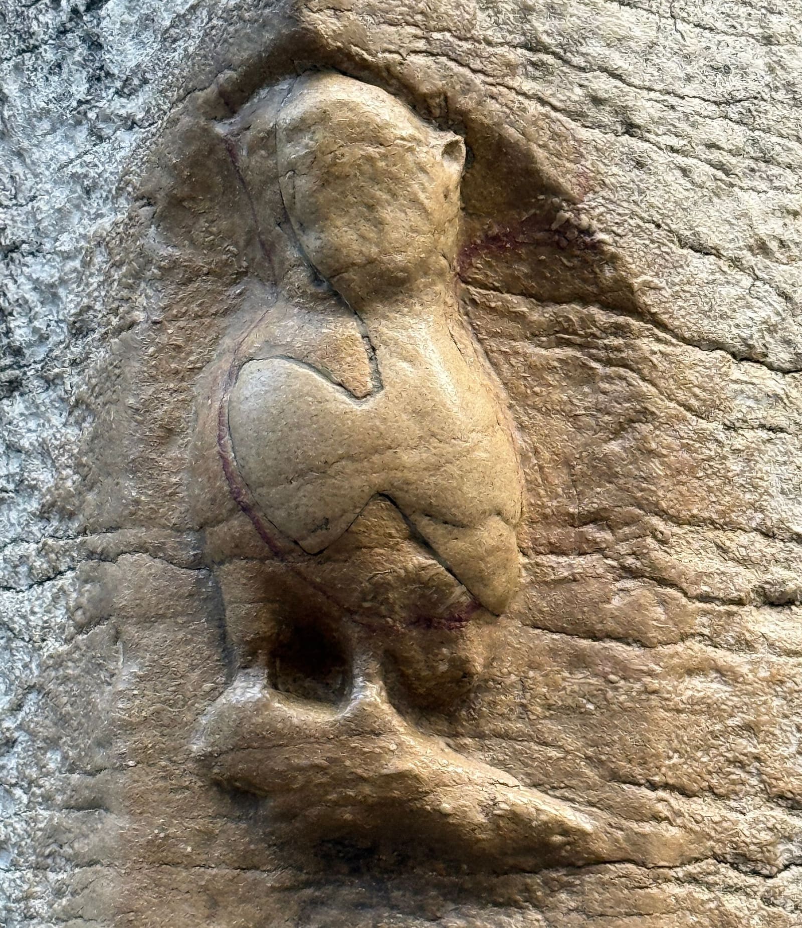 la civetta scolpita sul fianco di Notre-Dame, lucida di carezze