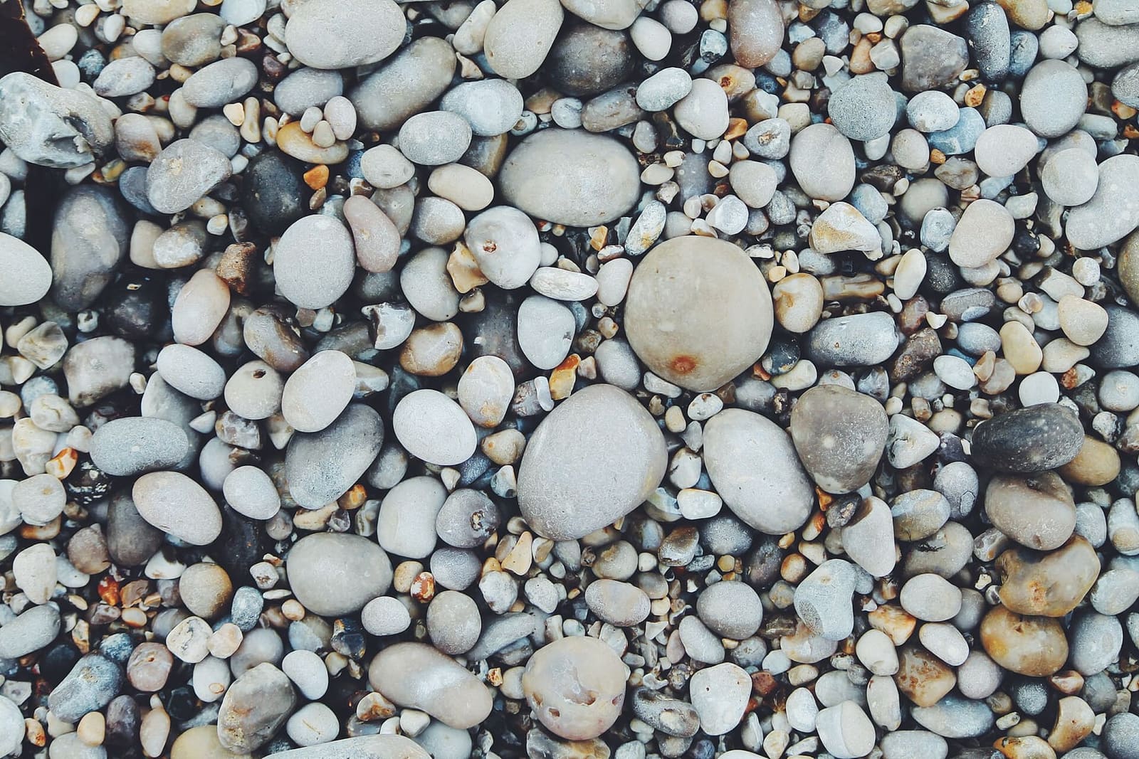i ciottoli di selce della spiaggia, da vicino