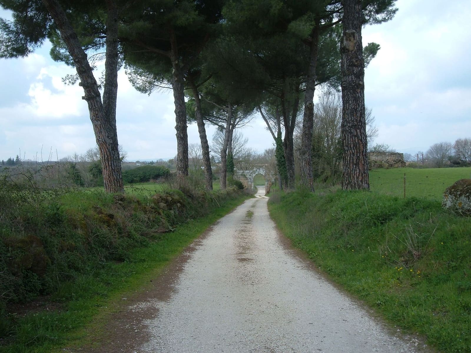 il viale di pini dentro le mura, con la strada bianca che porta alla Porta di Giove in fondo