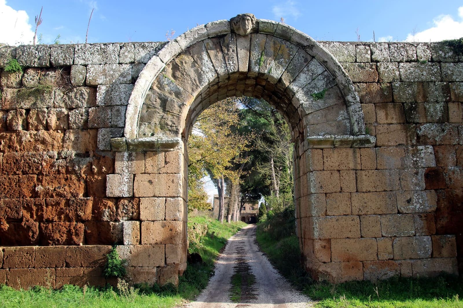 la Porta di Giove di fronte, con la ghiera dell'arco sporgente sulla cortina e sotto l'arco la strada che entra fra i pini