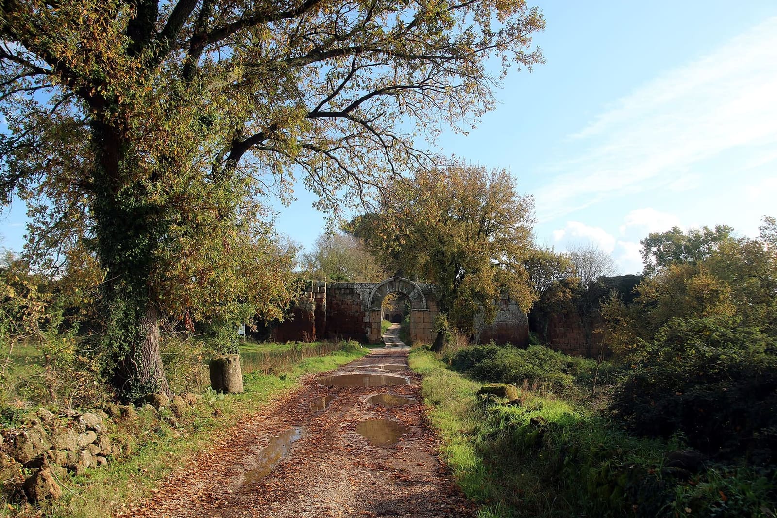 la strada bianca che arriva alla Porta di Giove sotto le querce, con le pozzanghere e le foglie d'autunno, e le mura di tufo rosso ai due lati dell'arco