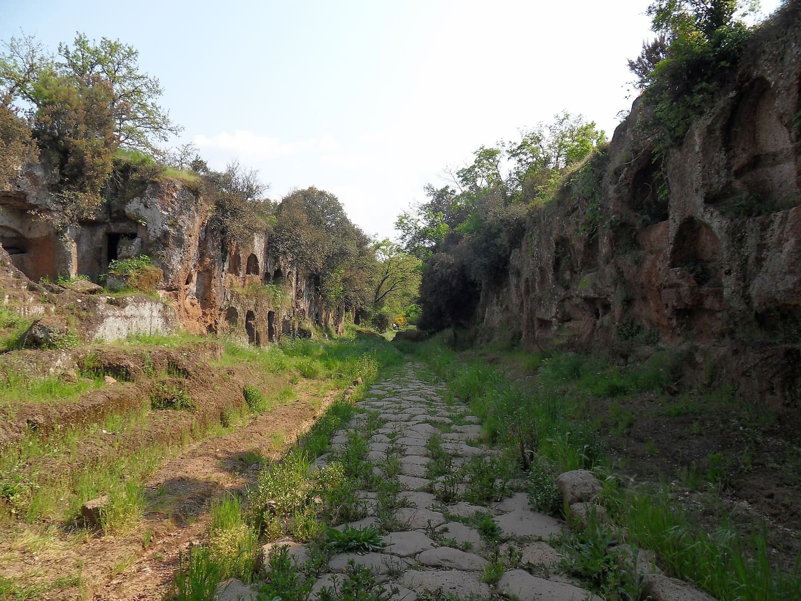 la via Amerina al Cavo degli Zucchi, fuori dalle mura: il basolato romano nella tagliata, e ai due lati le tombe scavate nelle pareti di tufo