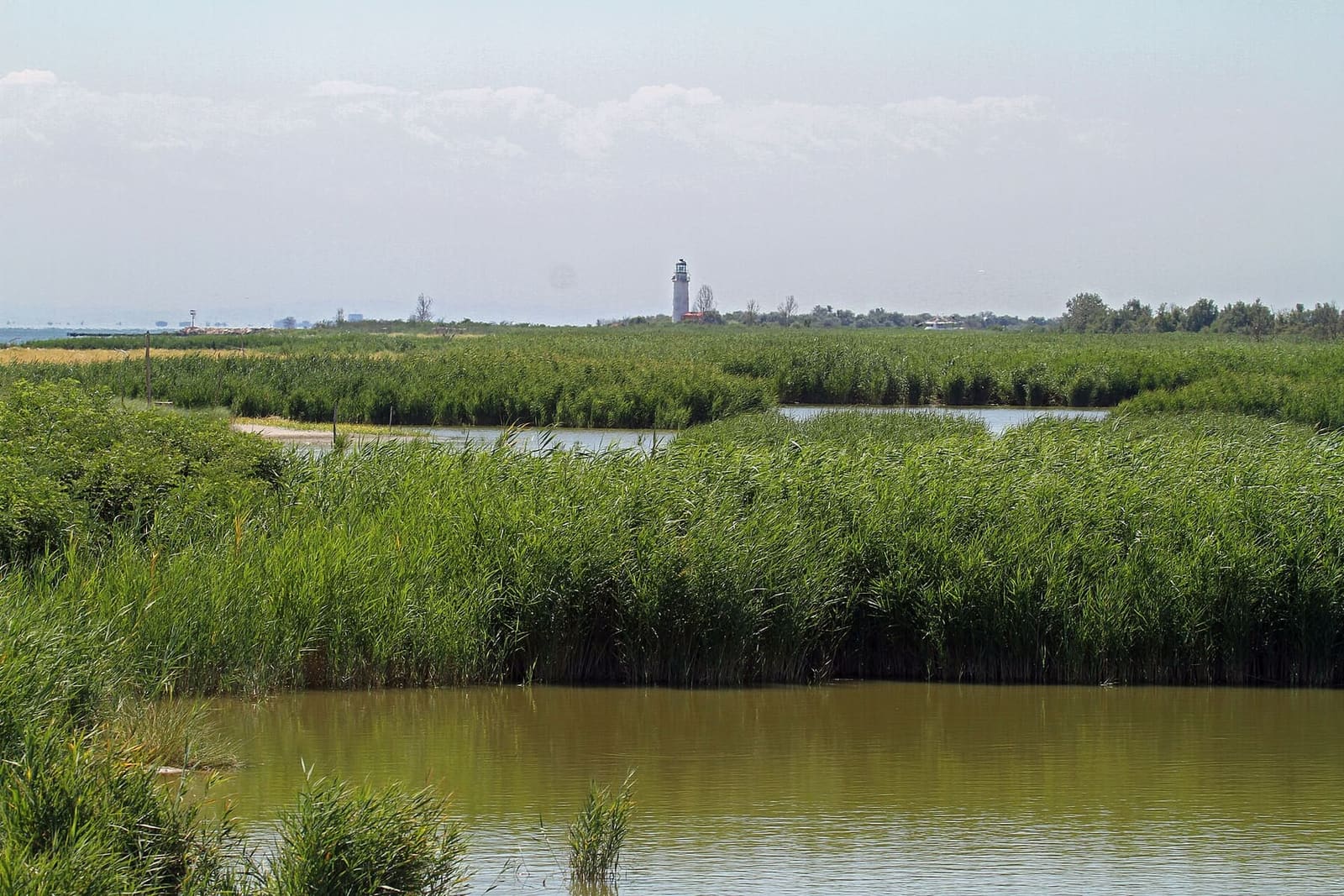 der Leuchtturm von Goro hinter den Lagunen und dem Schilf zwischen dem Po di Goro und dem Po di Gnocca