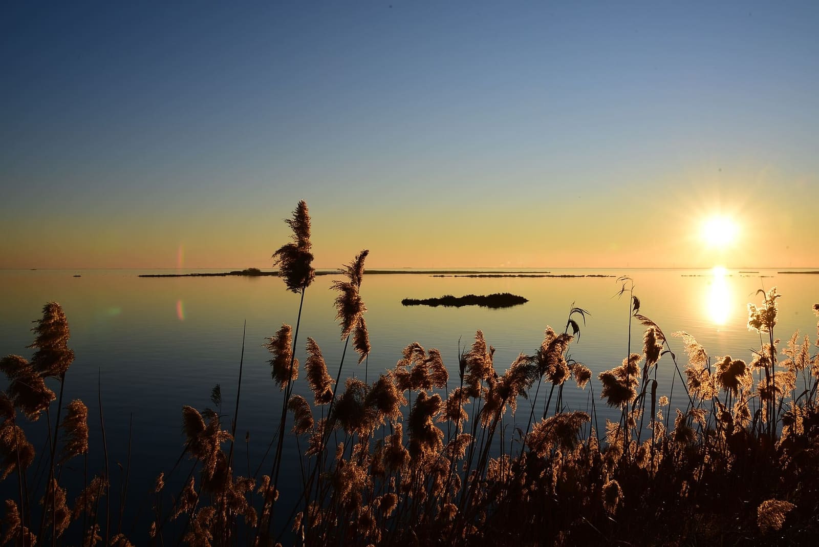 ein Wintersonnenuntergang über den Valli di Comacchio, mit dem Schilf im Gegenlicht