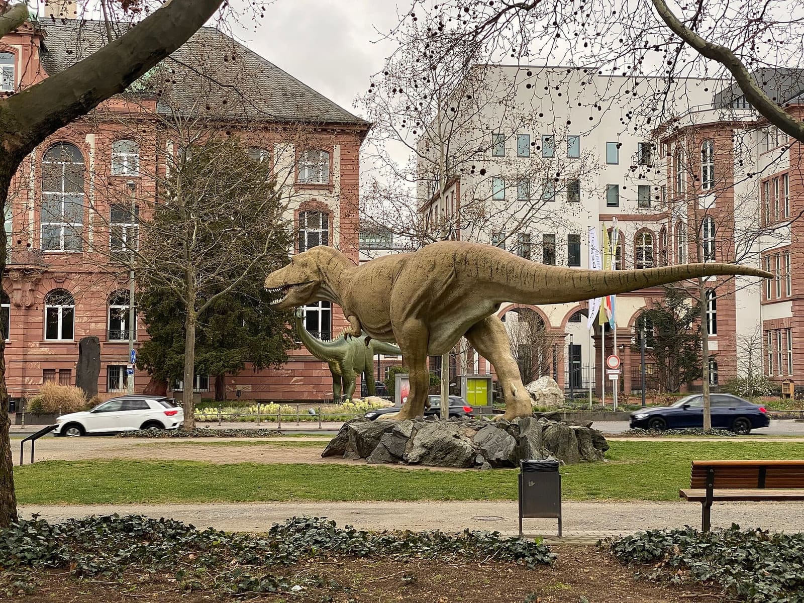 il grande tirannosauro sul prato davanti all'edificio del museo Senckenberg
