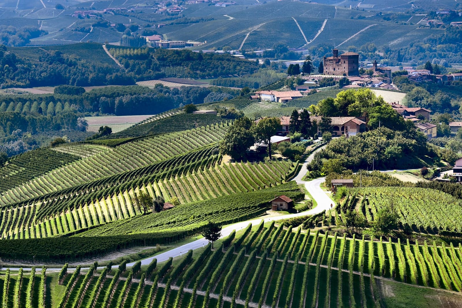 il castello di Grinzane in cima alla collina, sopra i filari e le case del borgo