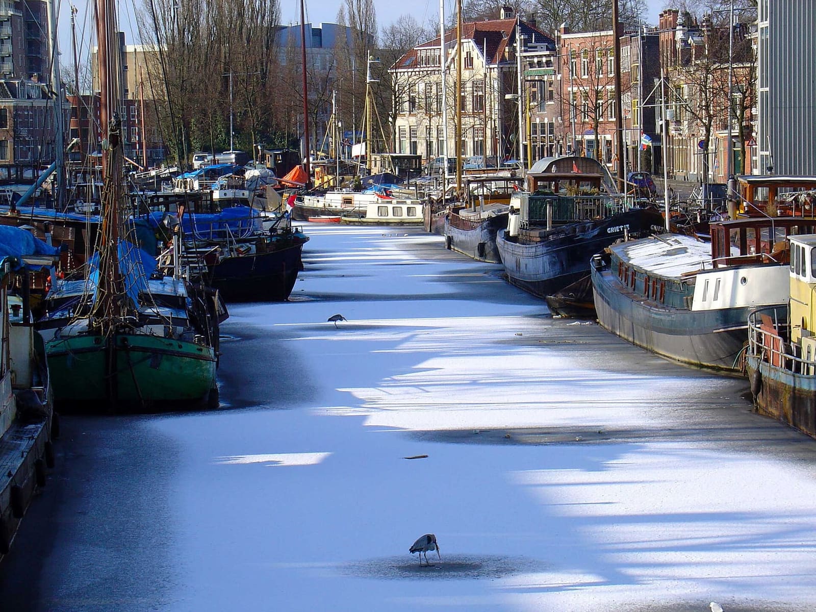 la Noorderhaven ghiacciata d'inverno, con le barche ferme e gli aironi a pesca sul ghiaccio