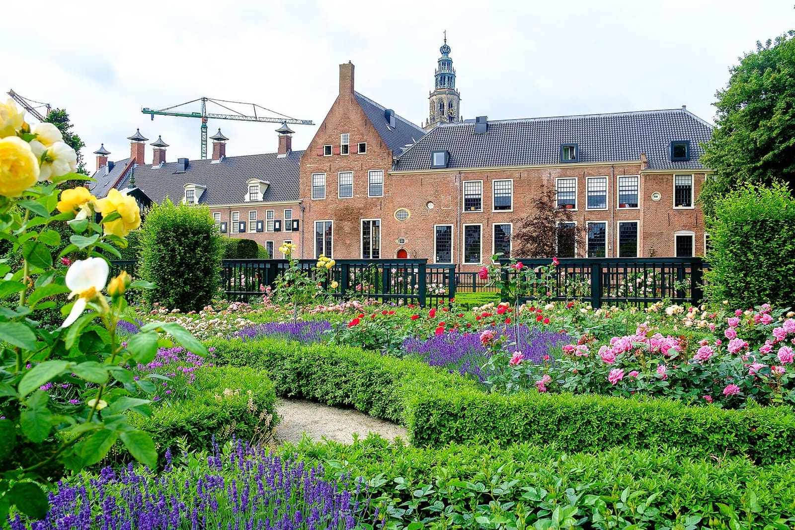 le aiuole di bosso e le rose della Prinsentuin, con il Prinsenhof sullo sfondo