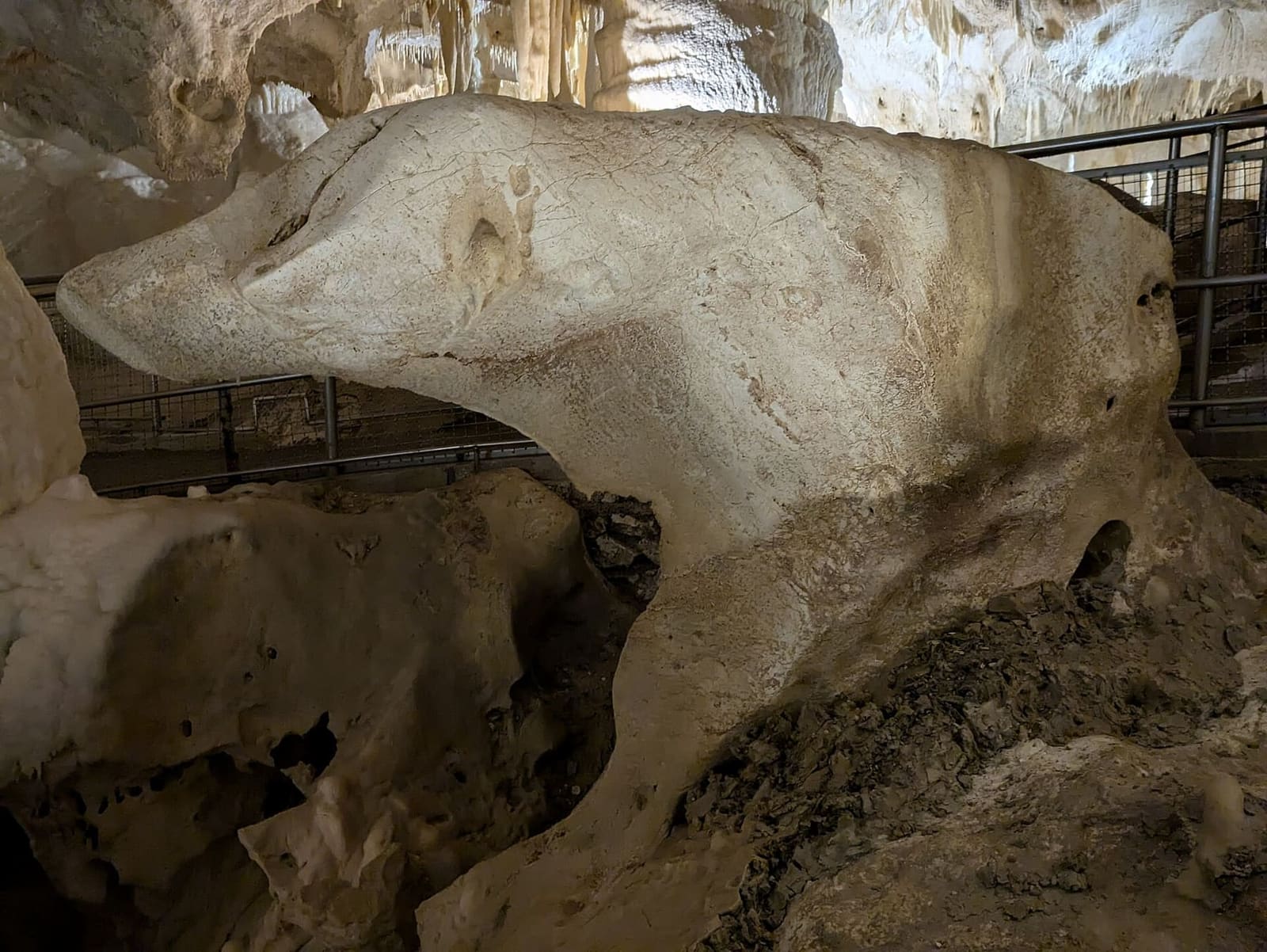 un blocco di calcite liscia allungato come il muso di un animale, davanti alla ringhiera della passerella