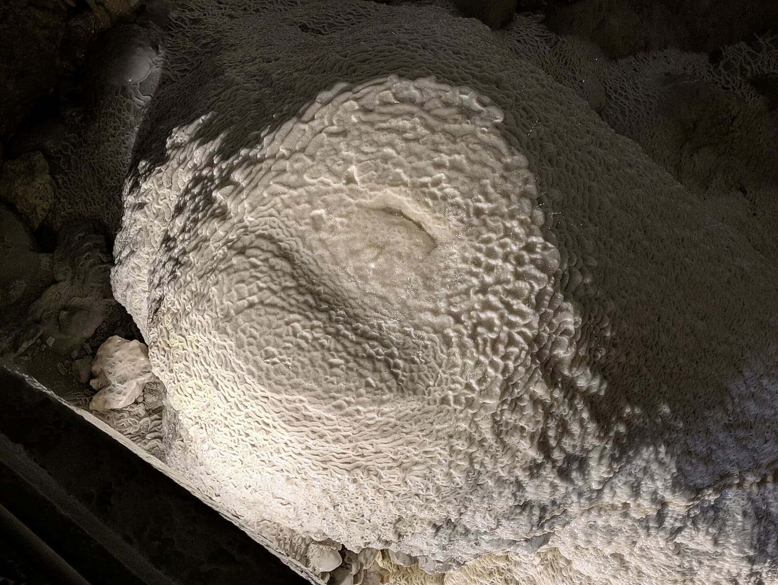 una concrezione a cavolfiore, cresciuta a bolle invece che a punta, accanto alla passerella
