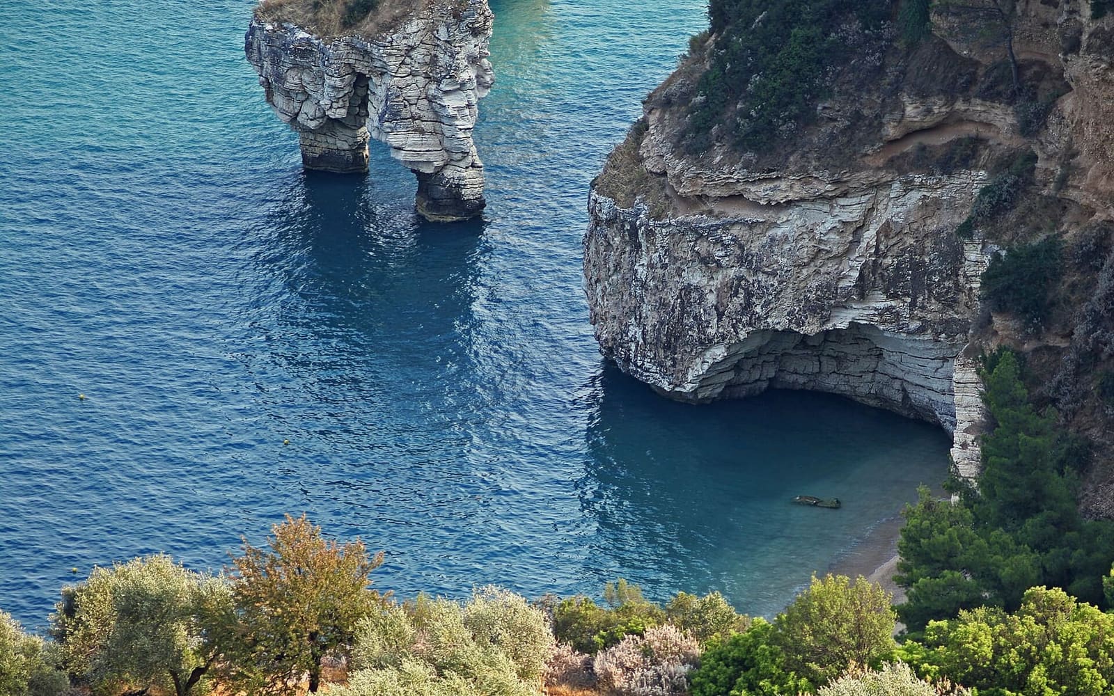 i faraglioni della Baia delle Zagare visti dall'alto, con la falesia accanto