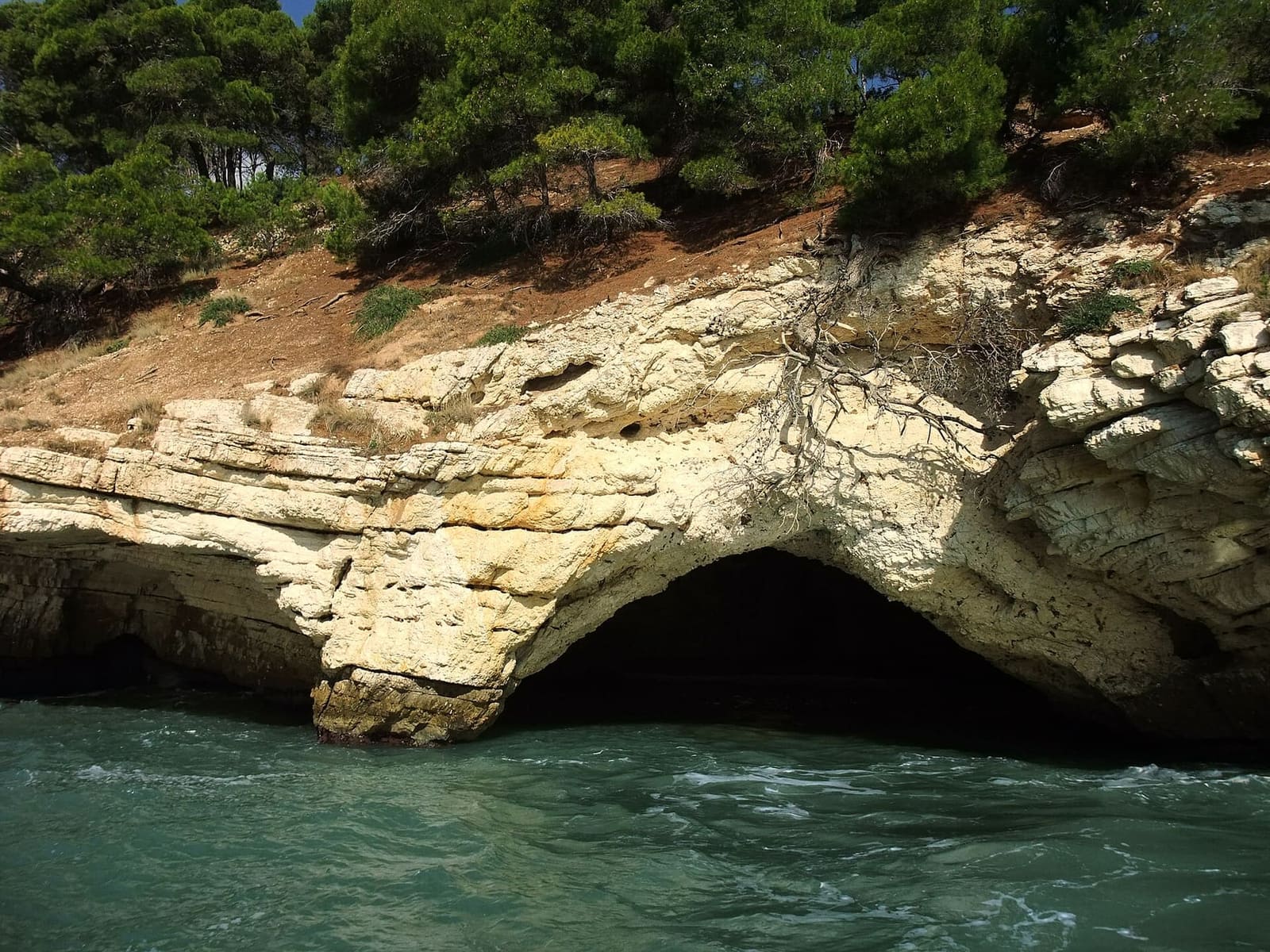 l'apertura bassa di una grotta, a pelo d'acqua sotto la macchia