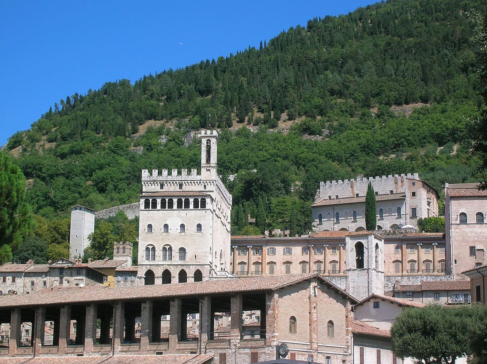 il Palazzo dei Consoli che si alza sopra la loggia dei Tiratori della Lana, con il bosco del monte Ingino alle spalle