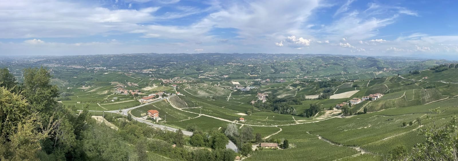 dal belvedere di Piazza Castello, le colline delle Langhe coperte di vigne fino all'orizzonte