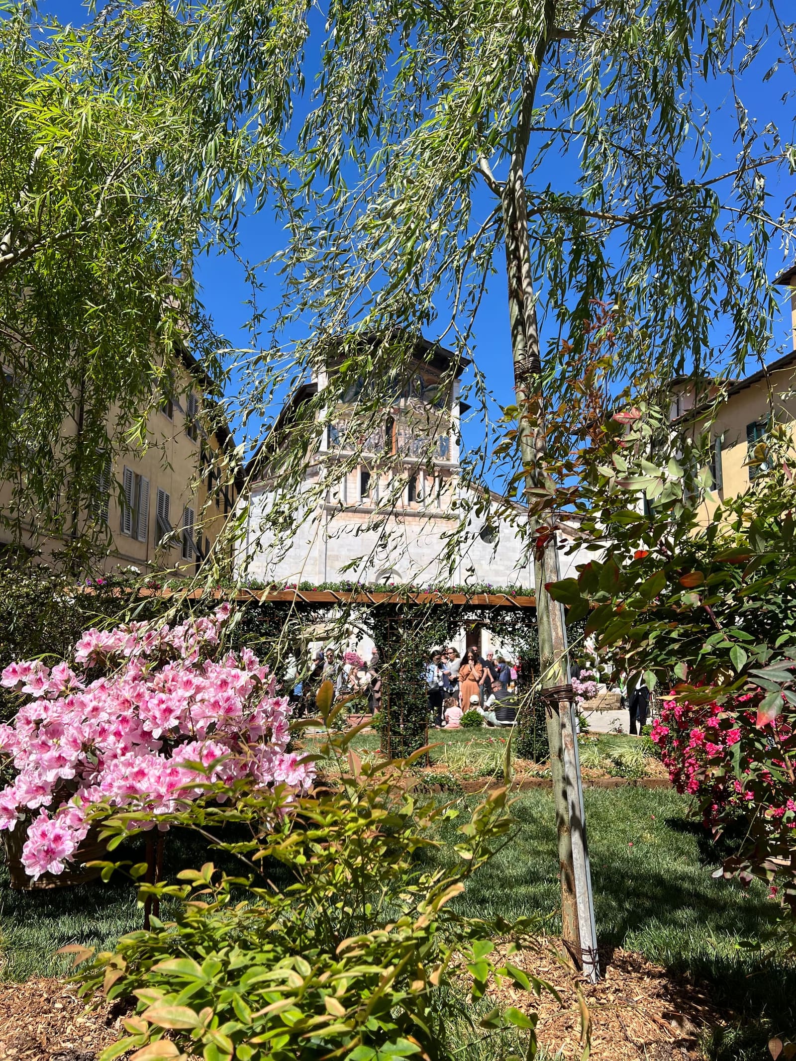 piazza San Frediano fiorita per la festa di Santa Zita, alla fine di aprile, con la basilica in fondo