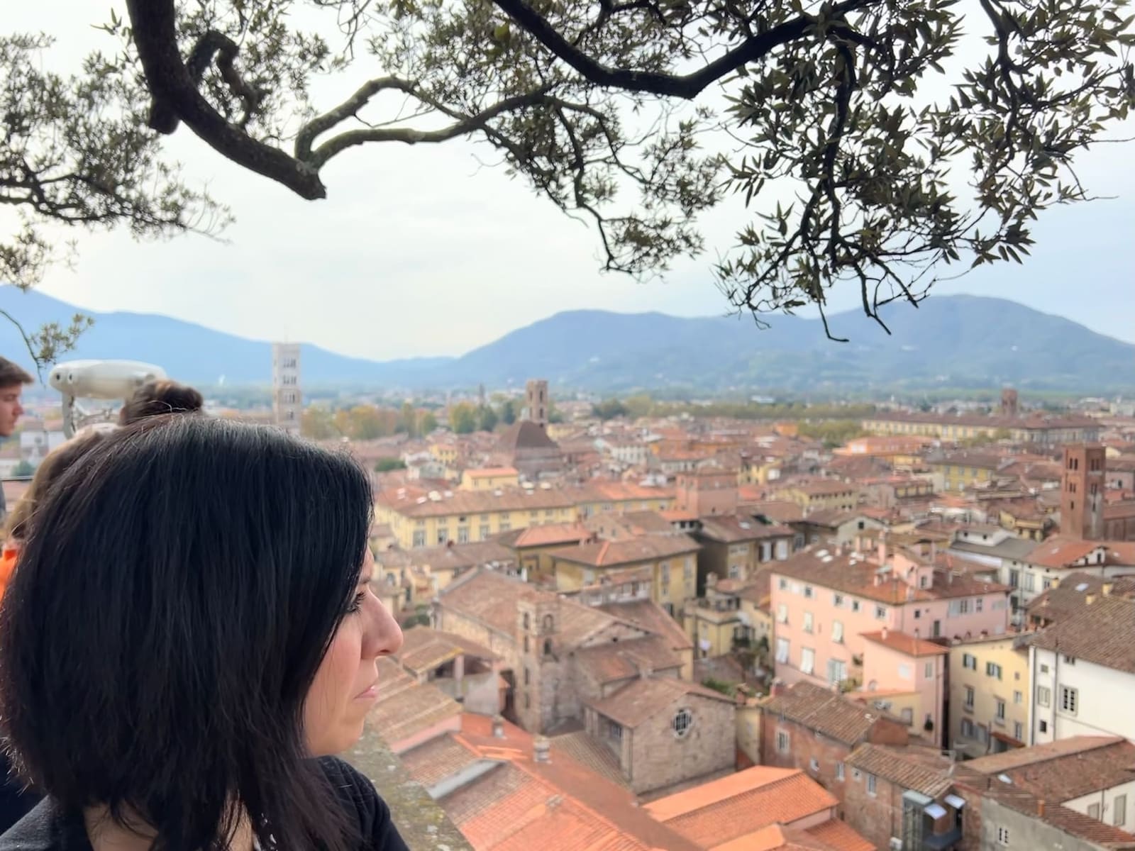 eccoci in cima alla Torre Guinigi, con i tetti della città e le montagne in fondo