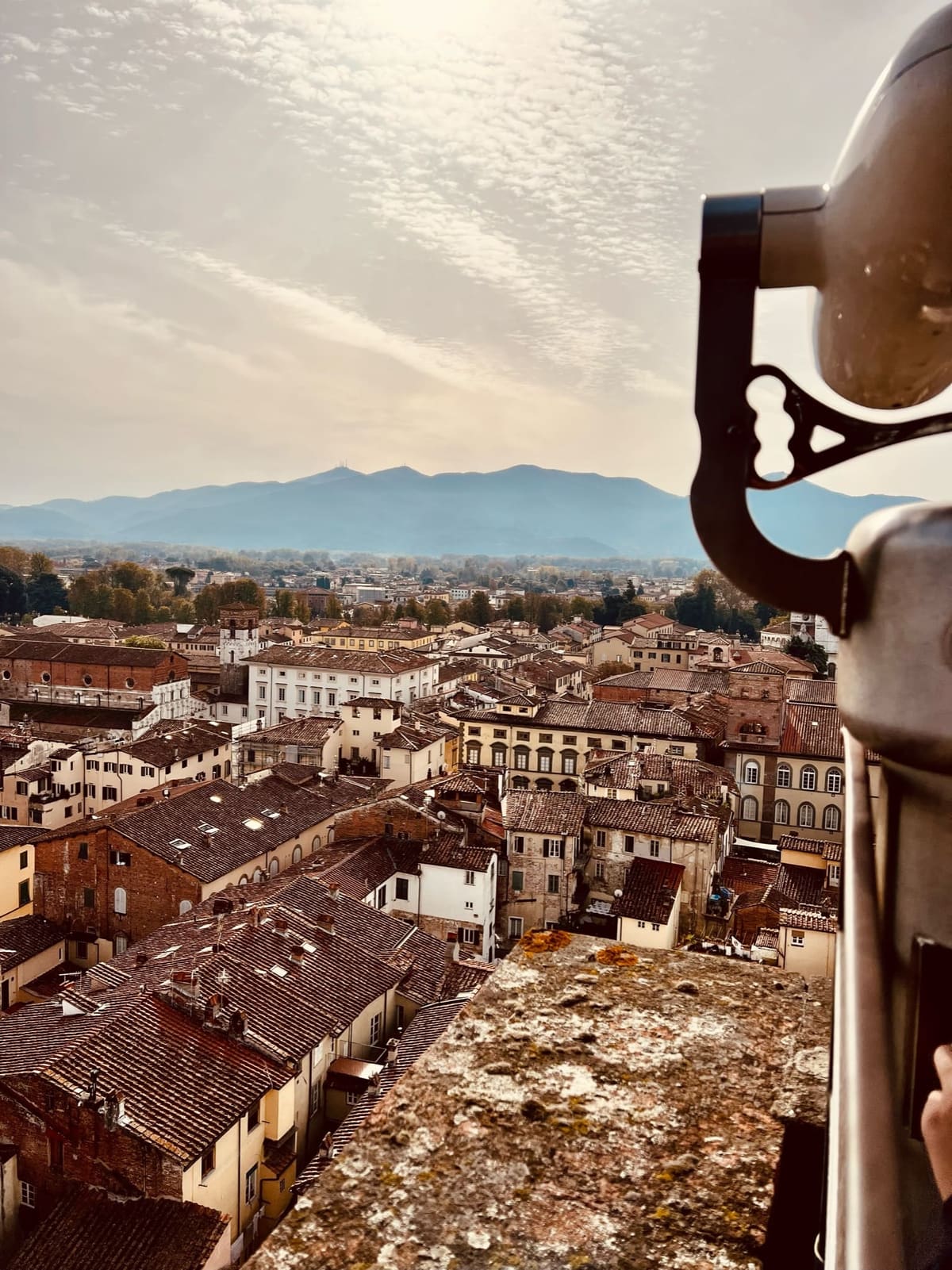 i tetti del centro dalla Torre Guinigi, con il binocolo a moneta in primo piano