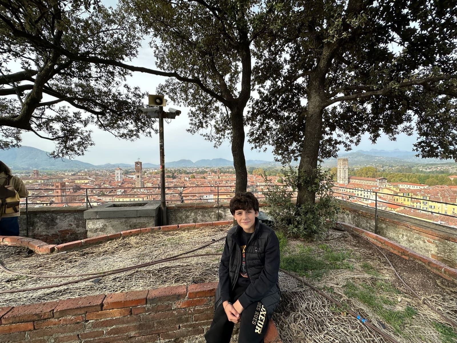 eccoci sotto i lecci in cima alla Torre Guinigi, con la piana di Lucca e i monti dietro