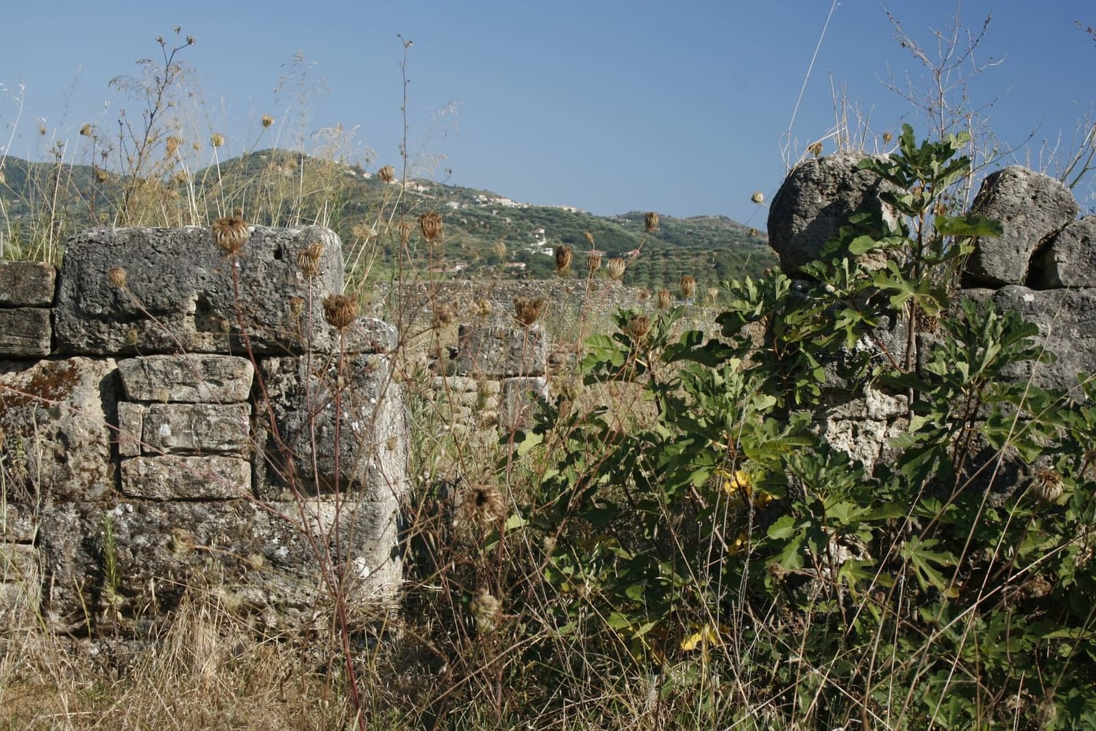 le mura antiche di Velia, con Ascea sulla collina dietro