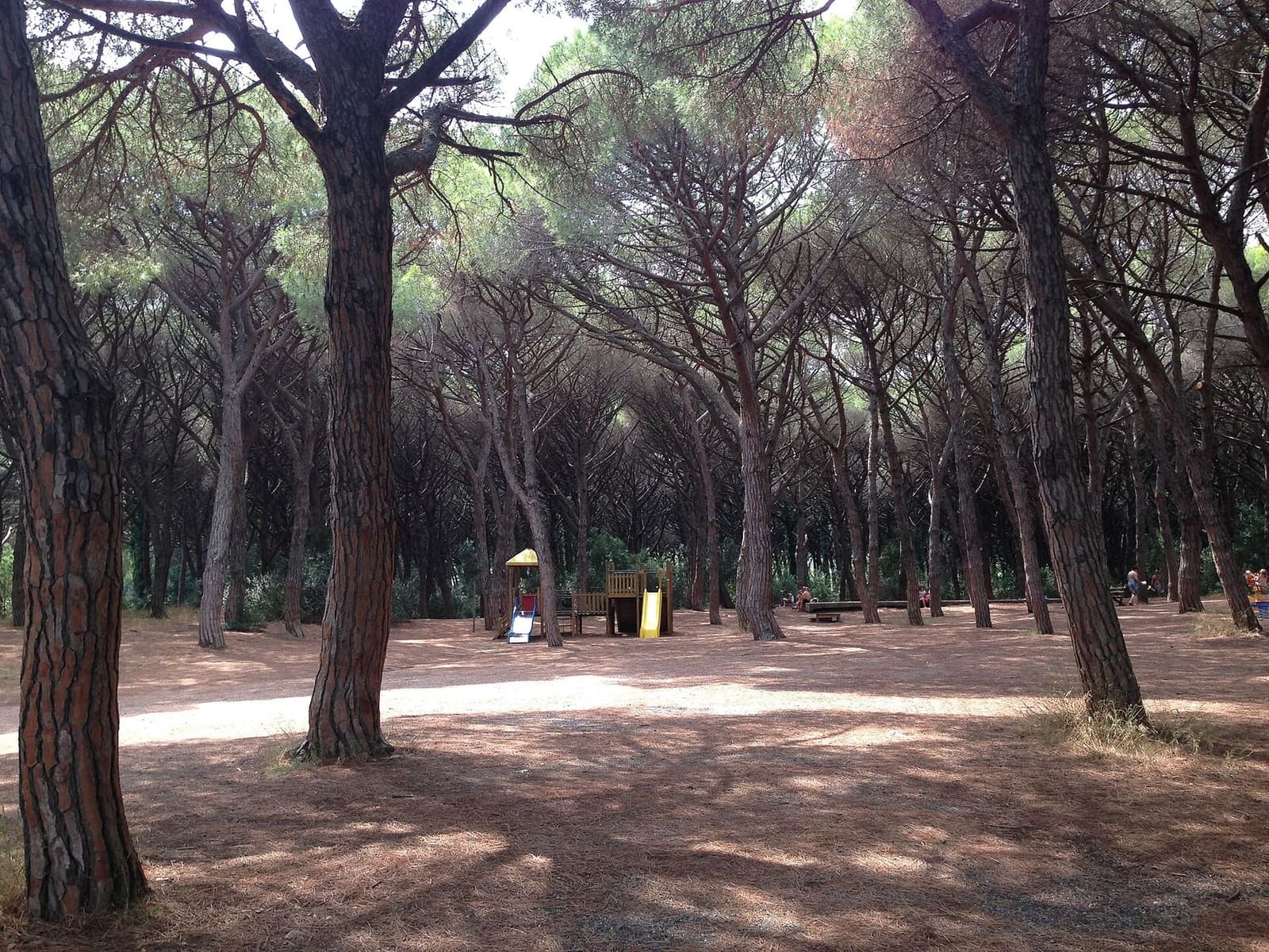 la pineta larga e in piano, con i giochi per i bambini e le panche all'ombra dei pini